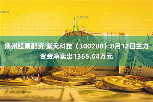 扬州股票配资 紫天科技（300280）8月12日主力资金净卖出1365.64万元