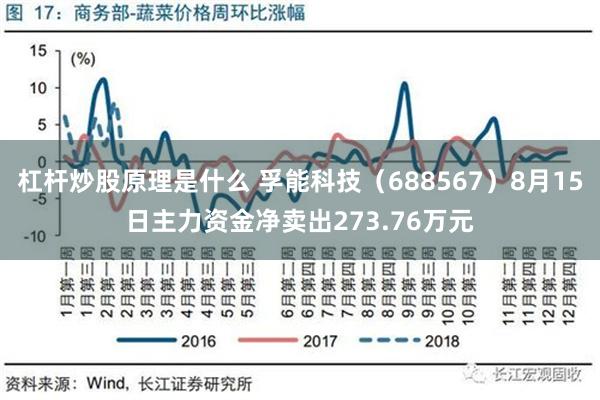 杠杆炒股原理是什么 孚能科技（688567）8月15日主力资金净卖出273.76万元