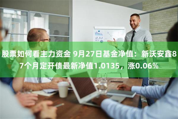 股票如何看主力资金 9月27日基金净值：新沃安鑫87个月定开债最新净值1.0135，涨0.06%