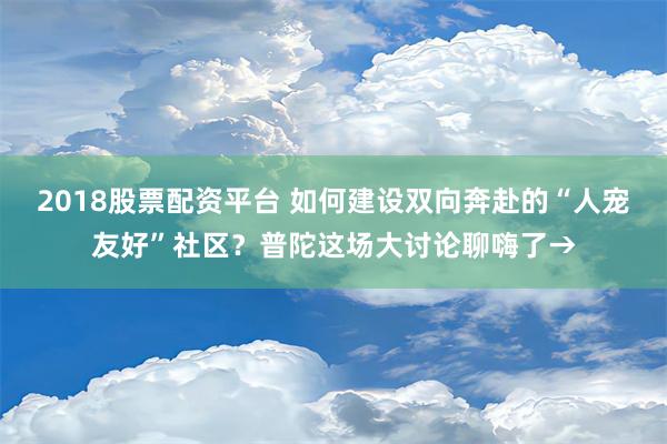 2018股票配资平台 如何建设双向奔赴的“人宠友好”社区？普陀这场大讨论聊嗨了→