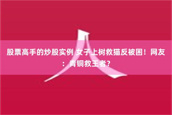 股票高手的炒股实例 女子上树救猫反被困！网友：青铜救王者？