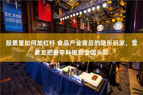 股票里如何加杠杆 食品产业背后的隐形玩家，雪麦龙把香辛料做到全国头部