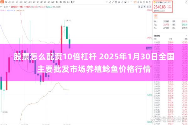 股票怎么配资10倍杠杆 2025年1月30日全国主要批发市场养殖鲶鱼价格行情