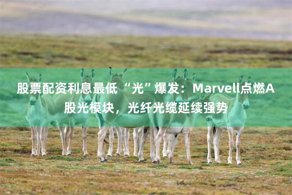 股票配资利息最低 “光”爆发：Marvell点燃A股光模块，光纤光缆延续强势