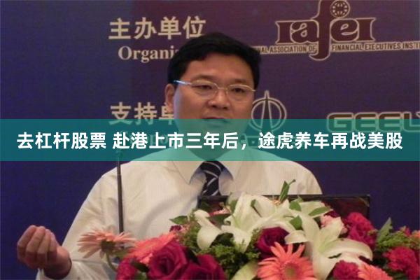 去杠杆股票 赴港上市三年后，途虎养车再战美股