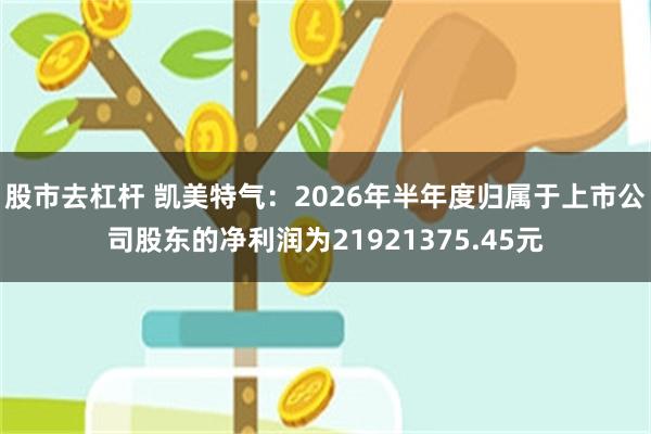 股市去杠杆 凯美特气：2026年半年度归属于上市公司股东的净利润为21921375.45元