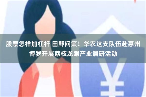 股票怎样加杠杆 田野问策！华农这支队伍赴惠州博罗开展荔枝龙眼产业调研活动
